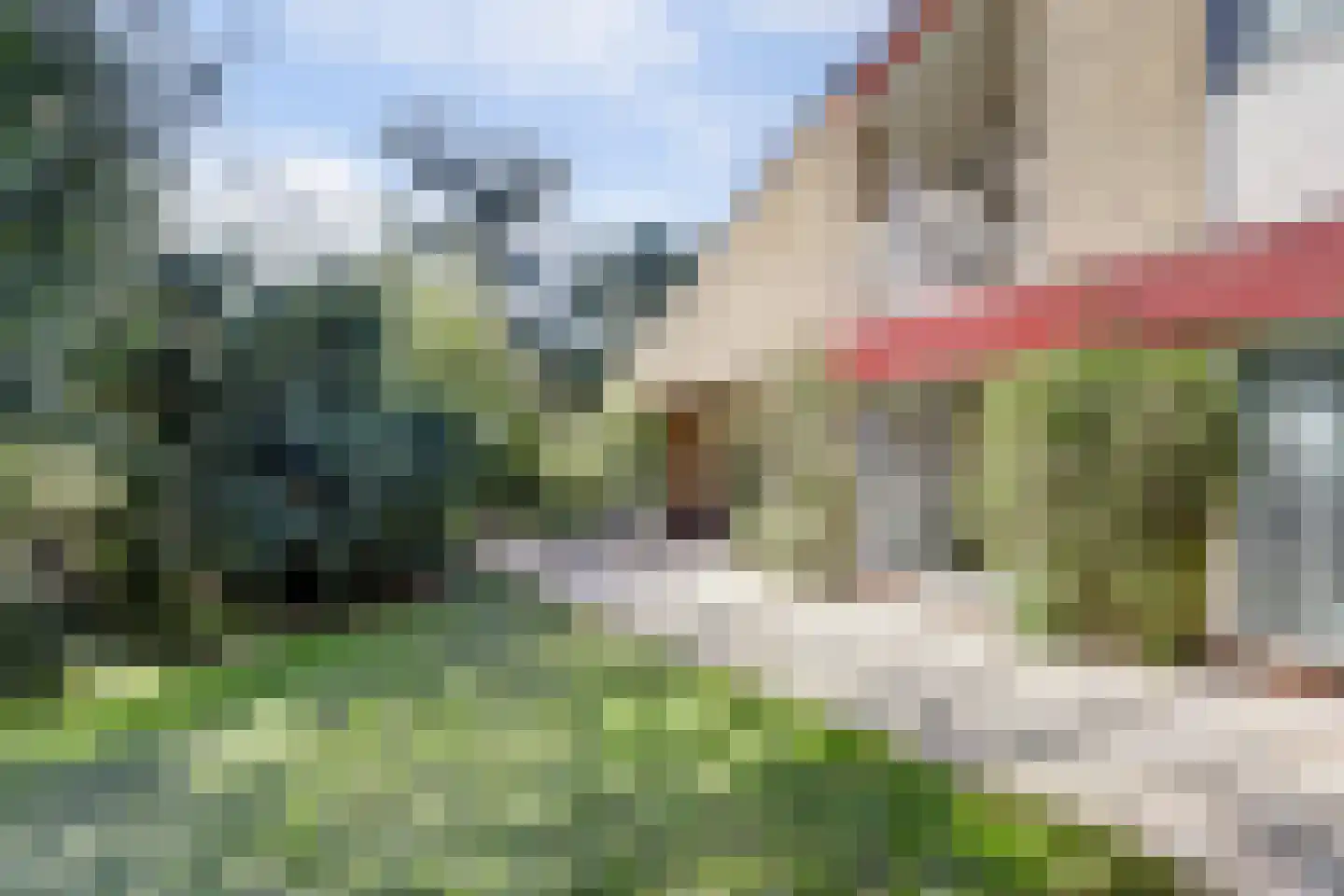 Rooiedal 22 Burgh-Haamstede thumbnail 32
