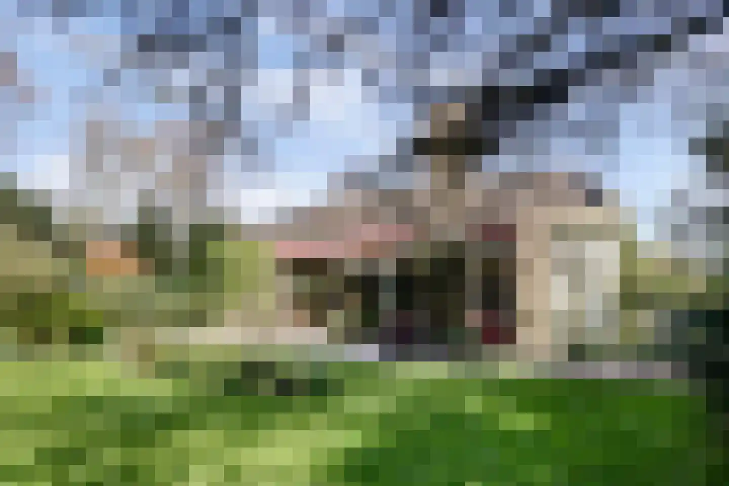 Rooiedal 22 Burgh-Haamstede thumbnail 33