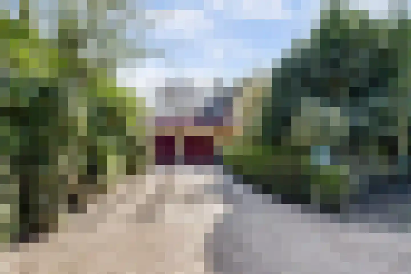 Rooiedal 22 Burgh-Haamstede thumbnail 6