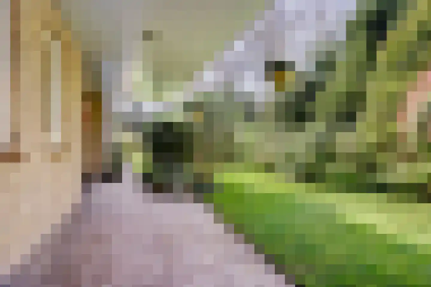 Rooiedal 22 Burgh-Haamstede thumbnail 7
