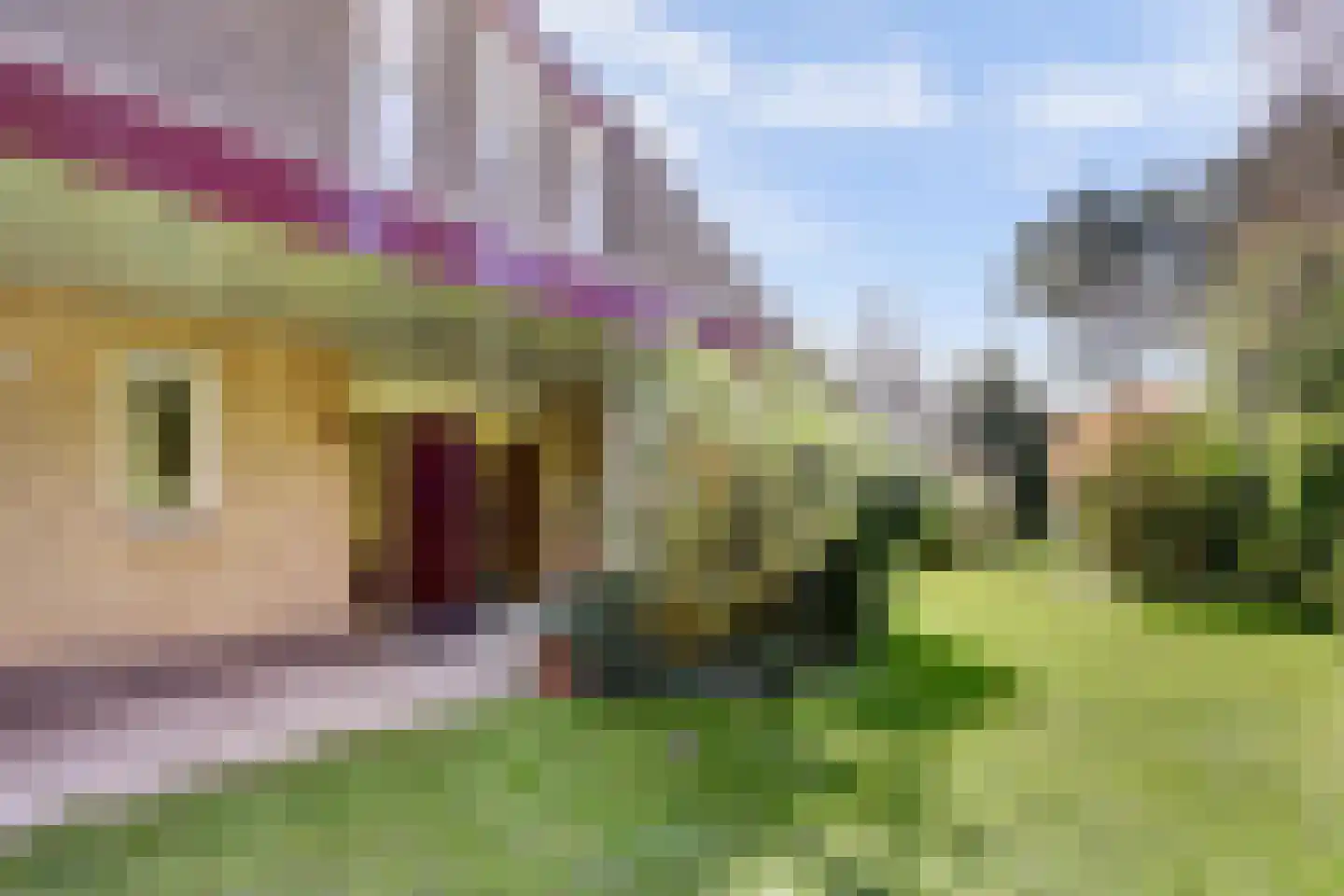 Rooiedal 22 Burgh-Haamstede thumbnail 8