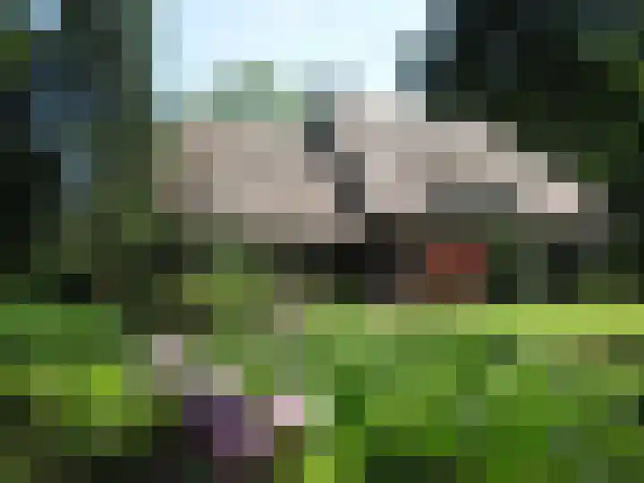 Rooije-Aschweg 16 in Gemert