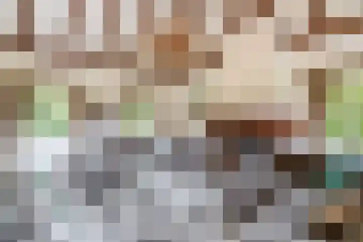 Rooije-Aschweg 16 Gemert thumbnail 10