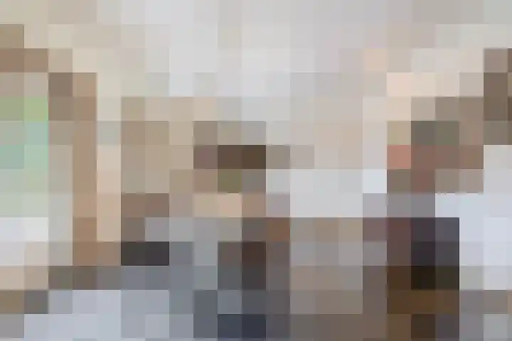 Rooije-Aschweg 16 Gemert thumbnail 11