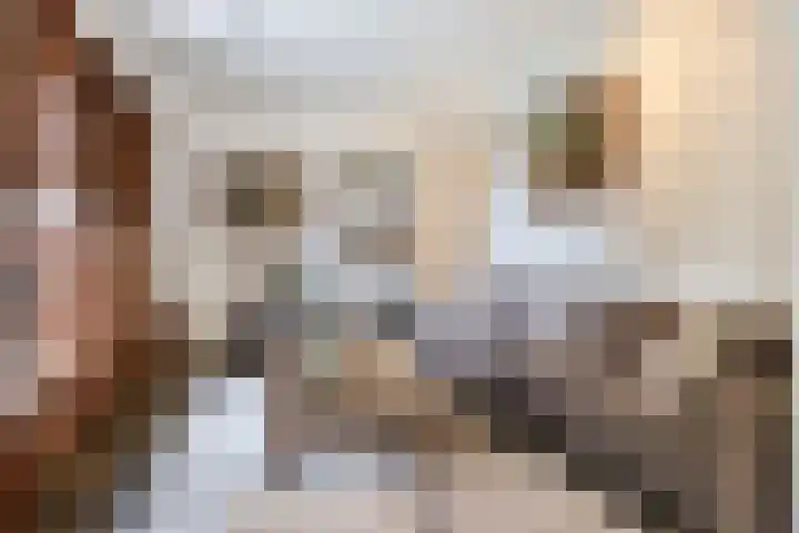 Rooije-Aschweg 16 Gemert thumbnail 14