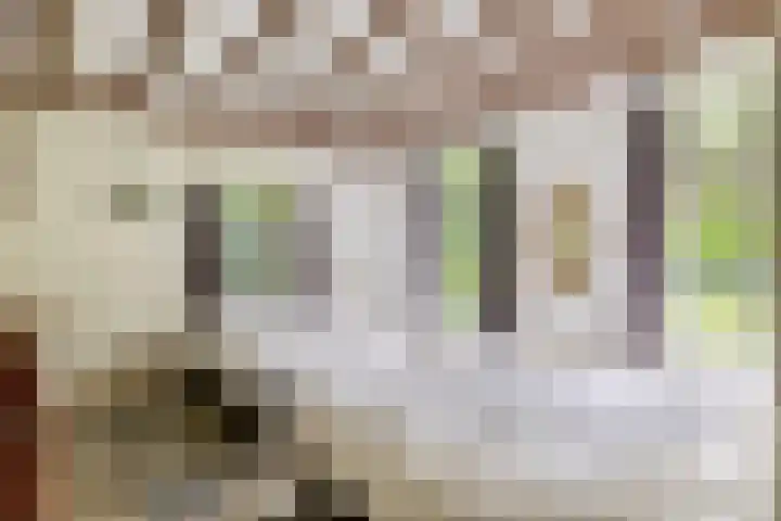 Rooije-Aschweg 16 Gemert thumbnail 15