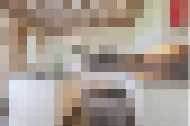 Rooije-Aschweg 16 Gemert thumbnail 17