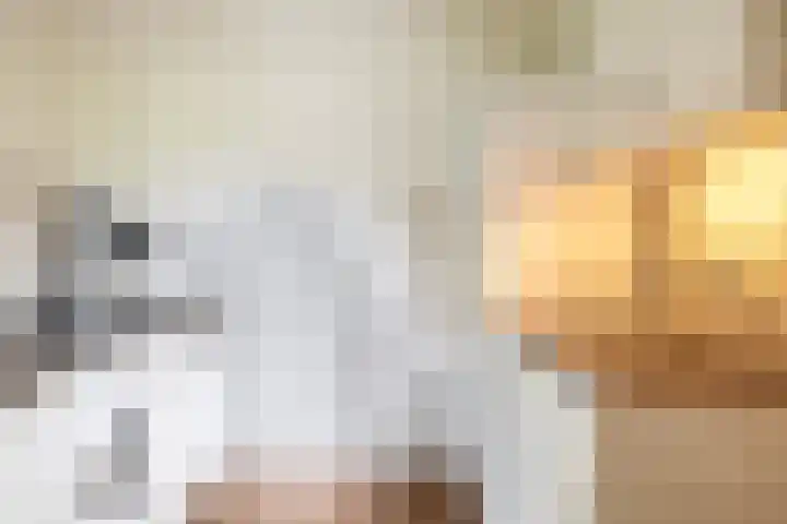 Rooije-Aschweg 16 Gemert thumbnail 20