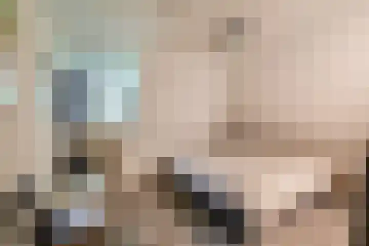 Rooije-Aschweg 16 Gemert thumbnail 25