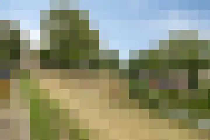 Rooije-Aschweg 16 Gemert thumbnail 37