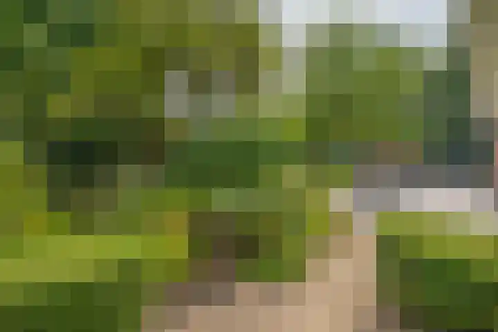 Rooije-Aschweg 16 Gemert thumbnail 38