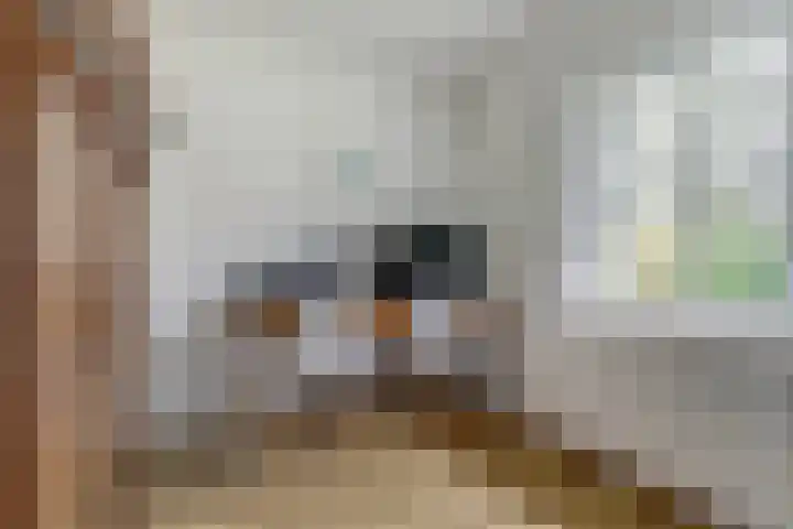 Rooije-Aschweg 16 Gemert thumbnail 40