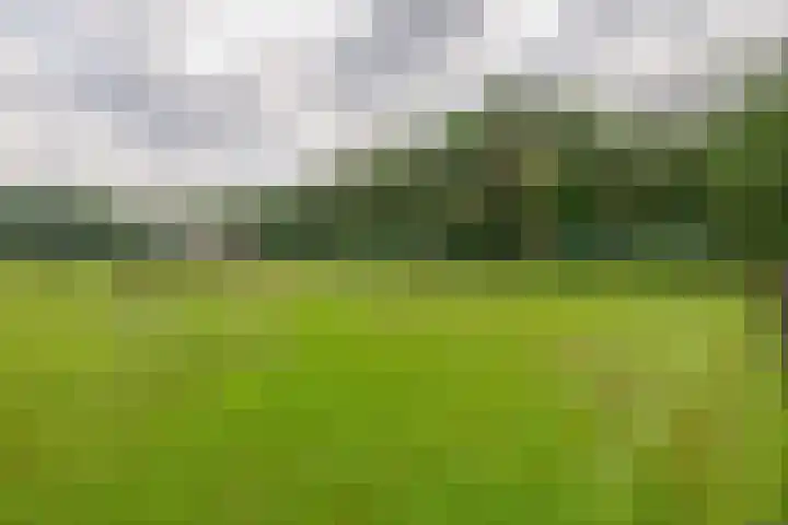 Rooije-Aschweg 16 Gemert thumbnail 46