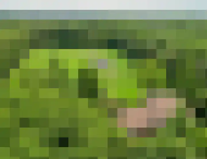 Rooije-Aschweg 16 Gemert thumbnail 5