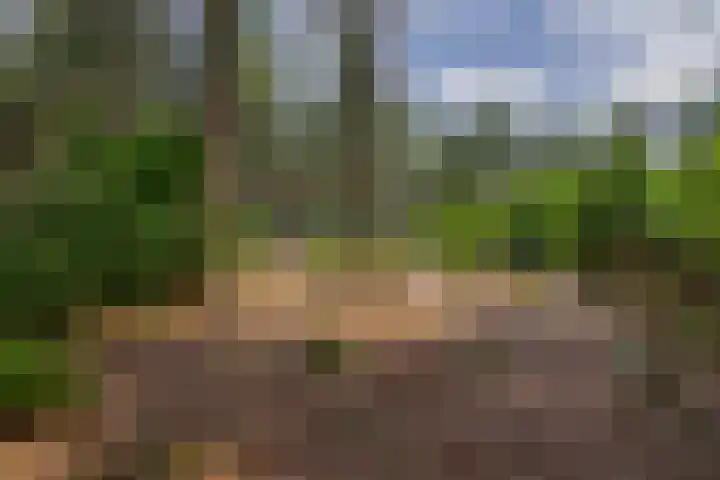 Rooije-Aschweg 16 Gemert thumbnail 51