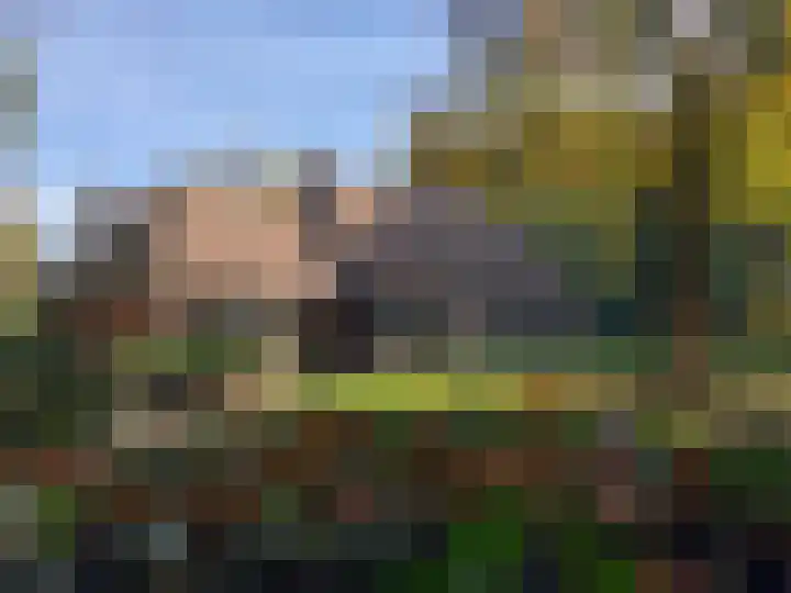 Rooije-Aschweg 16 Gemert thumbnail 52
