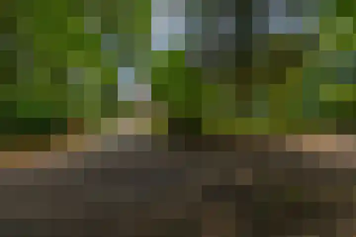 Rooije-Aschweg 16 Gemert thumbnail 6