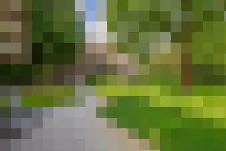Rooije-Aschweg 16 Gemert thumbnail 7