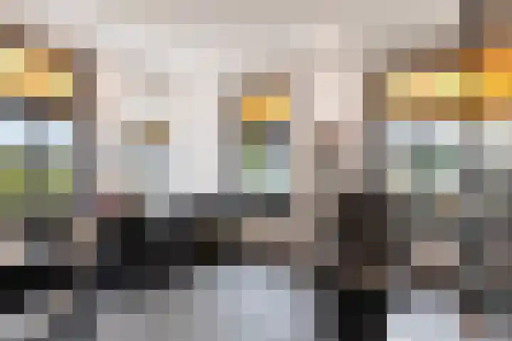 Rooijensestraat 22 Hoenzadriel thumbnail 10