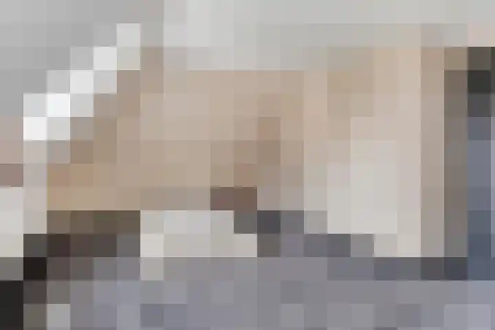Rooijensestraat 22 Hoenzadriel thumbnail 16