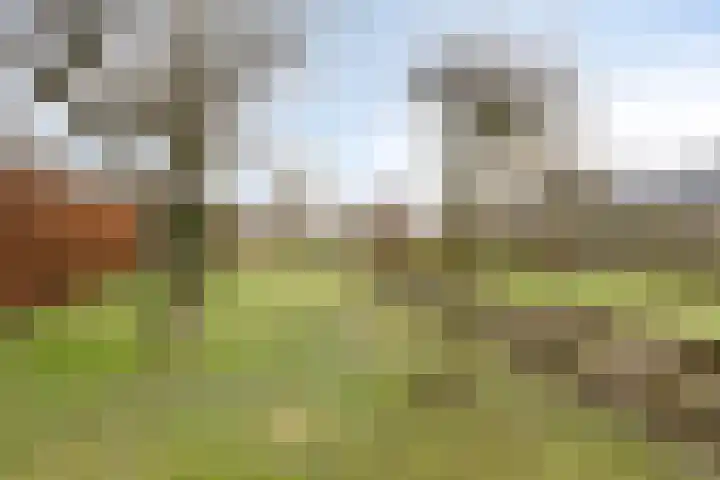 Rooijensestraat 22 Hoenzadriel thumbnail 25