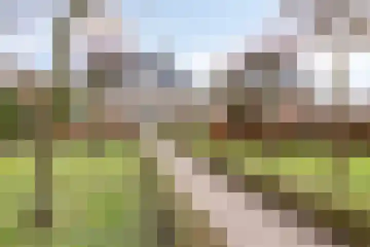 Rooijensestraat 22 Hoenzadriel thumbnail 29
