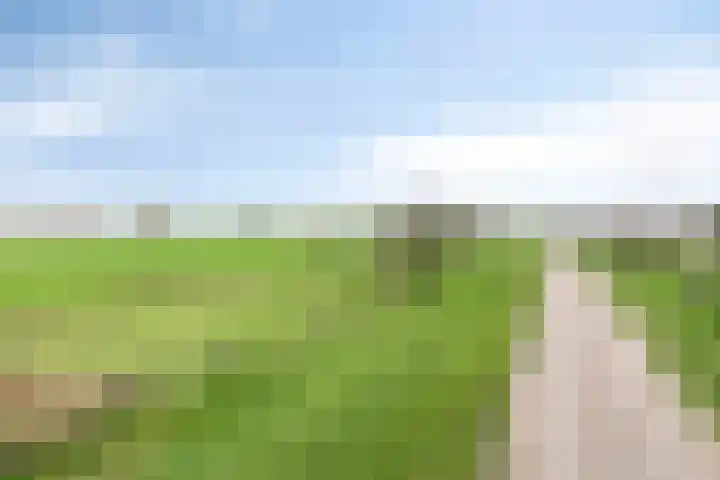 Rooijensestraat 22 Hoenzadriel thumbnail 34