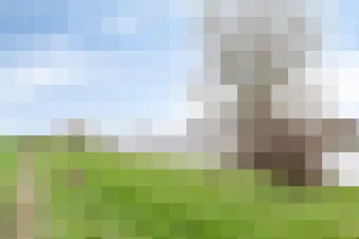 Rooijensestraat 22 Hoenzadriel thumbnail 35