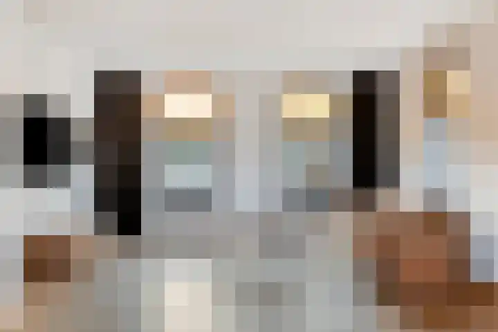 Rooijensestraat 22 Hoenzadriel thumbnail 5