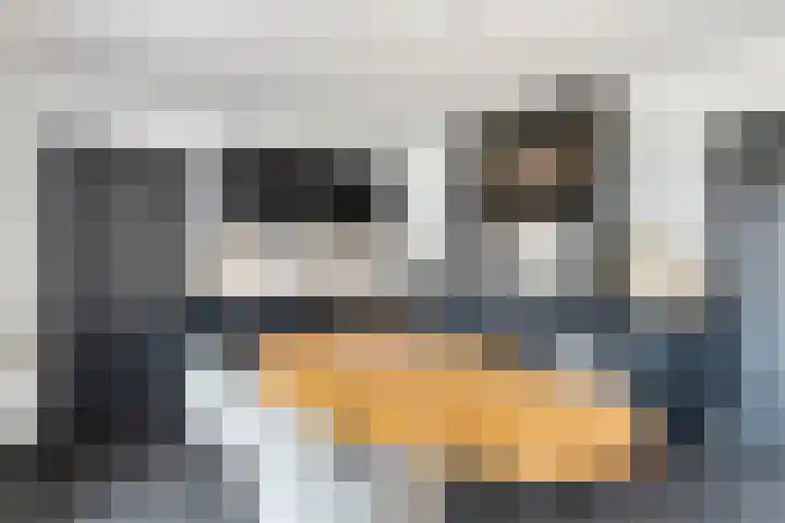 Rooijensestraat 22 Hoenzadriel thumbnail 8