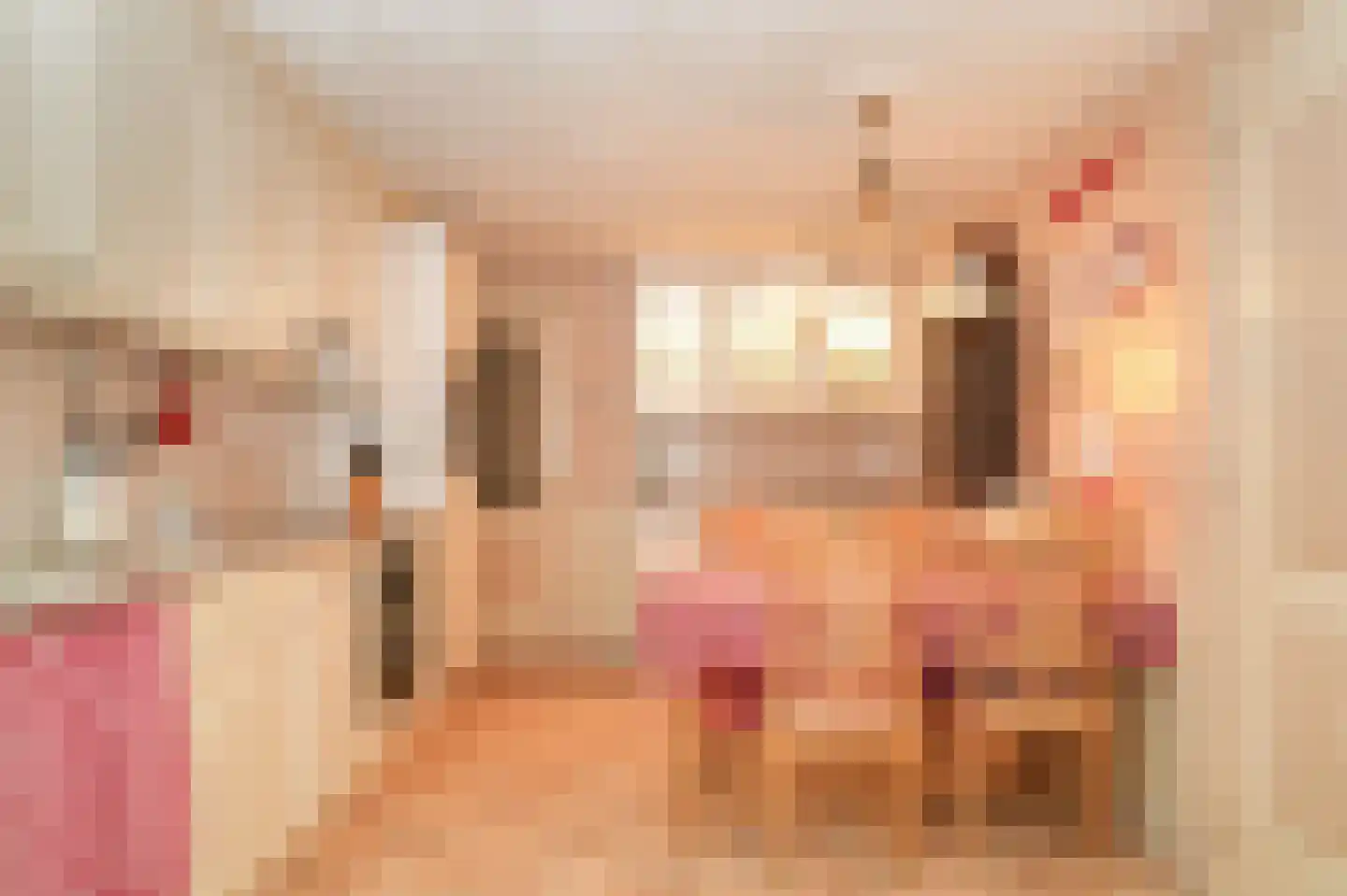 Rooijsestraat 103 a Dreumel thumbnail 12