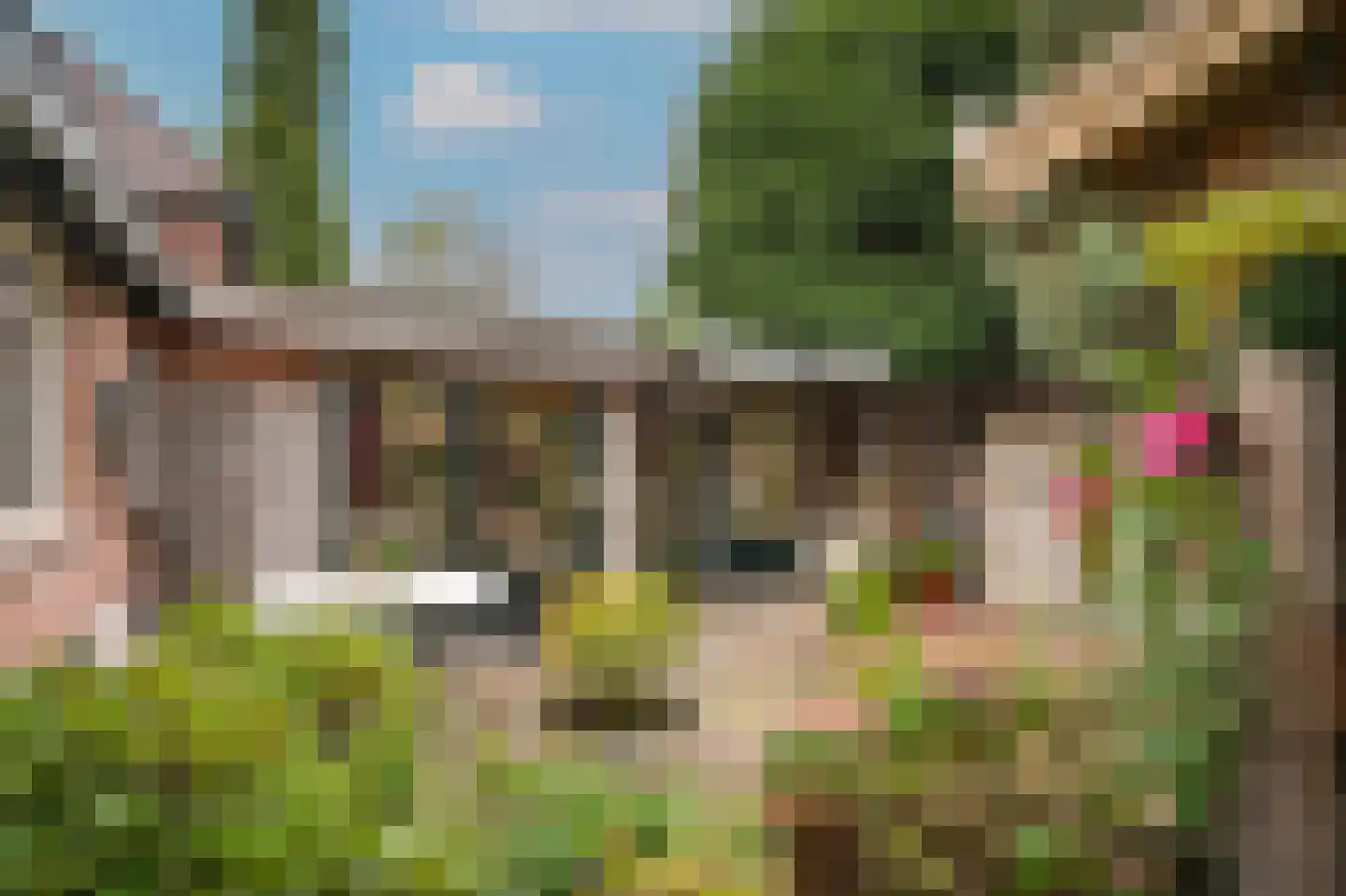 Rooijsestraat 103 a Dreumel thumbnail 26