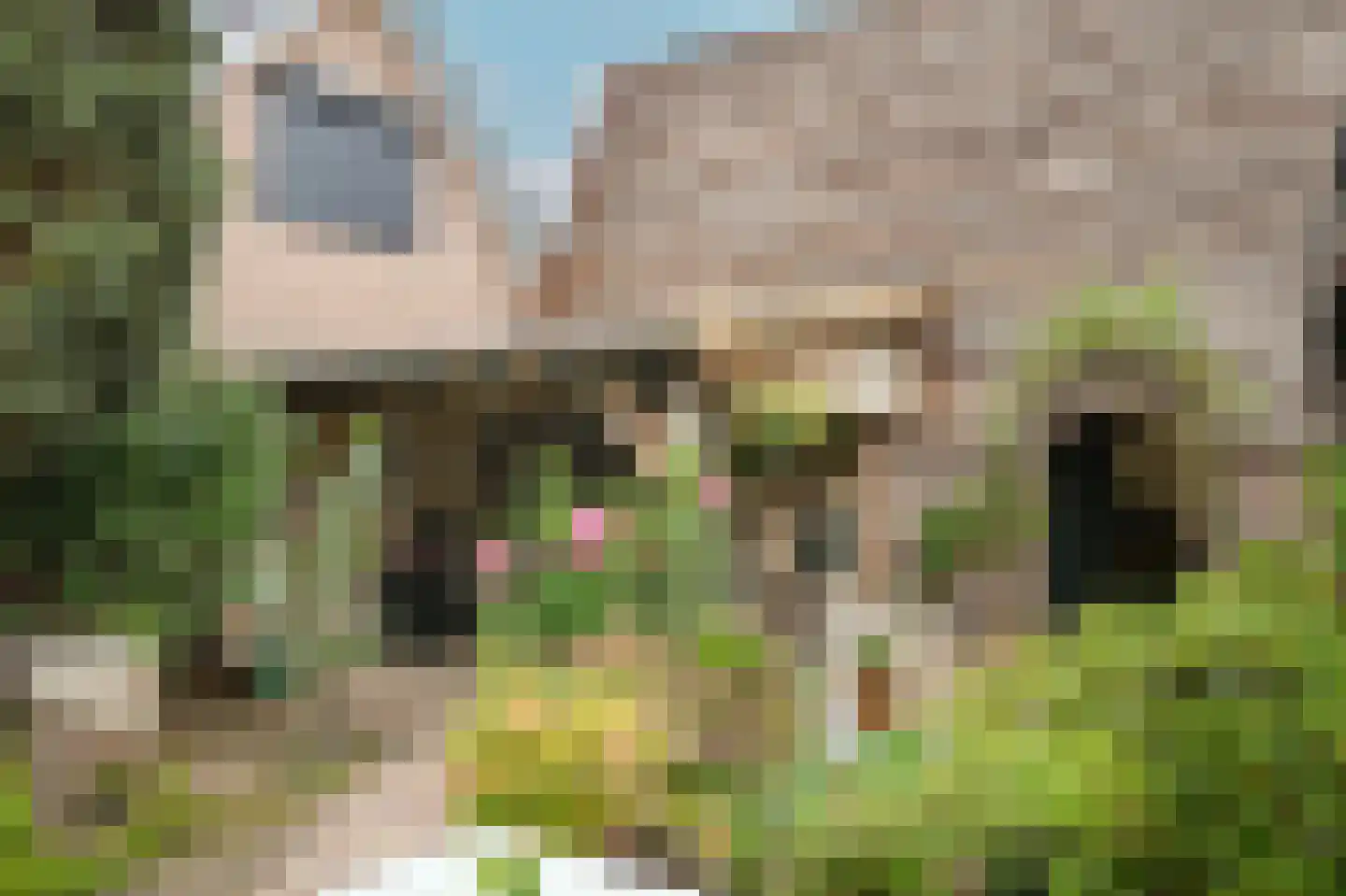 Rooijsestraat 103 a Dreumel thumbnail 27
