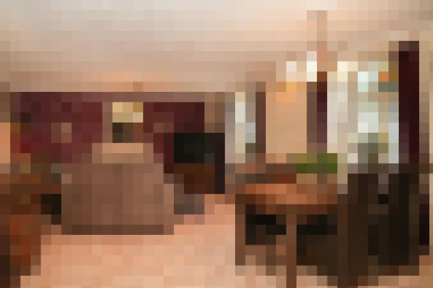 Rooijsestraat 103 a Dreumel thumbnail 4