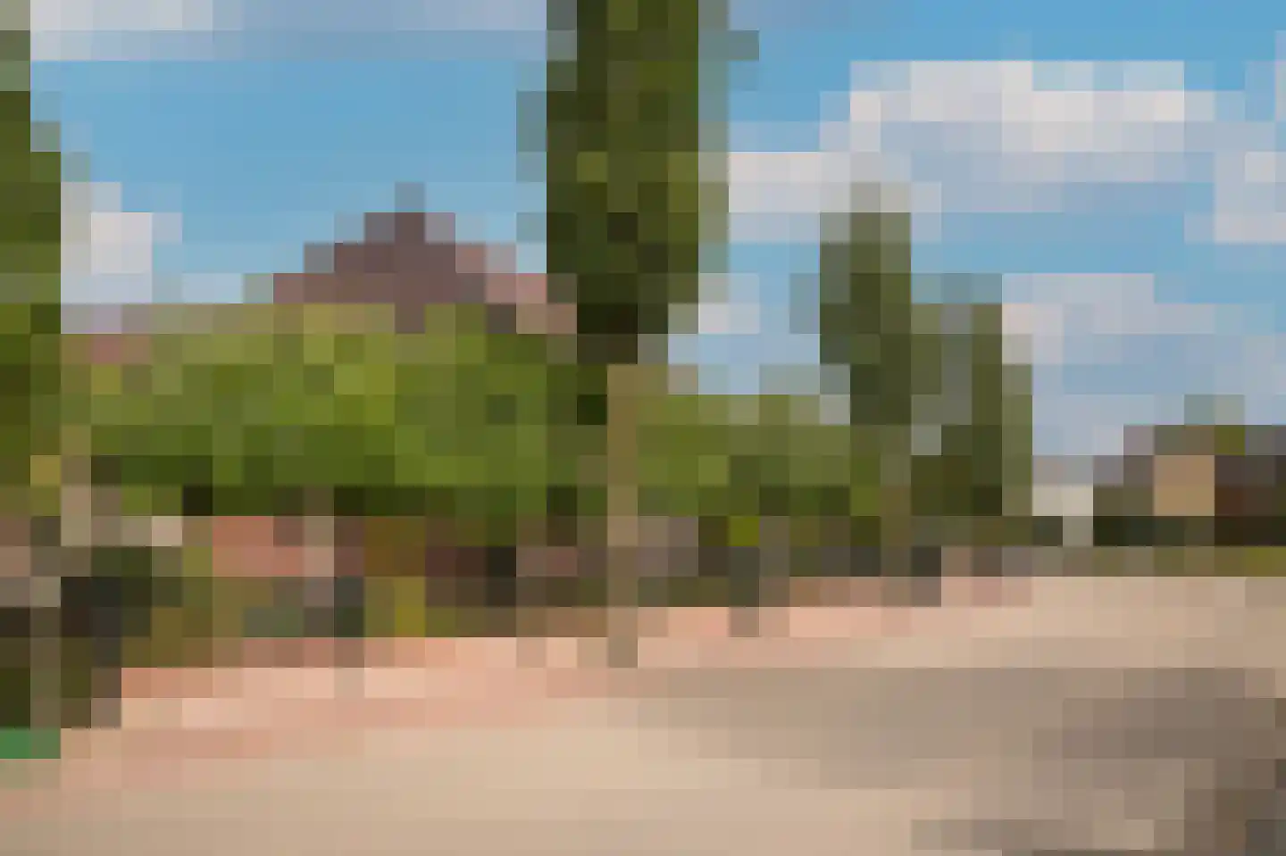 Rooijsestraat 103 a Dreumel thumbnail 46