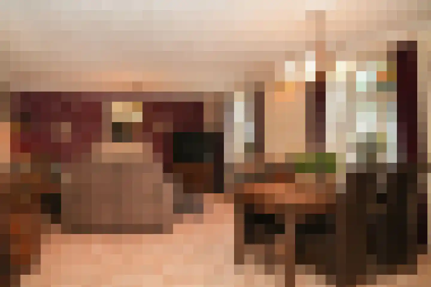 Rooijsestraat 103 a Dreumel thumbnail 5