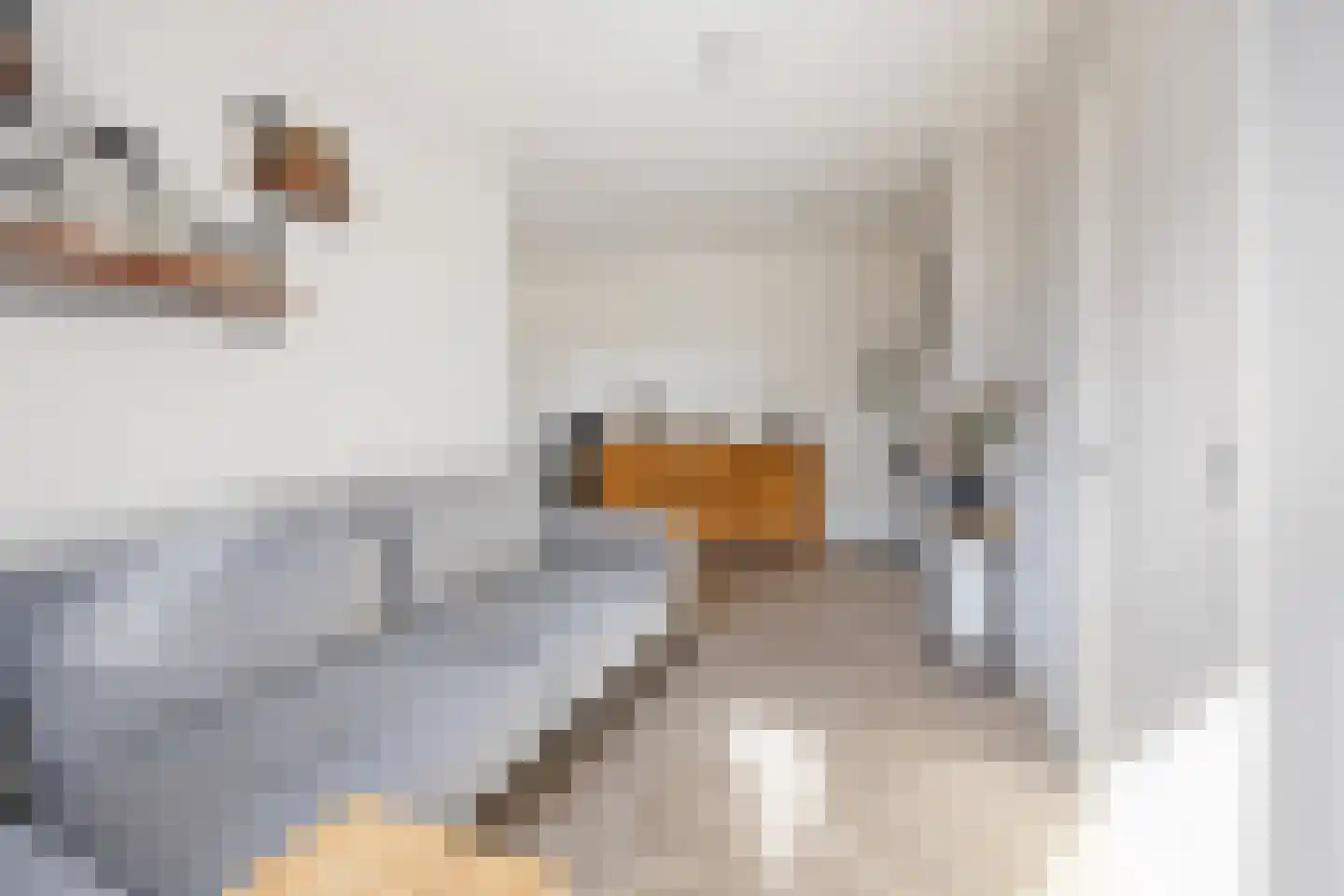 Rooijsestraat 107 03 Dreumel thumbnail 17