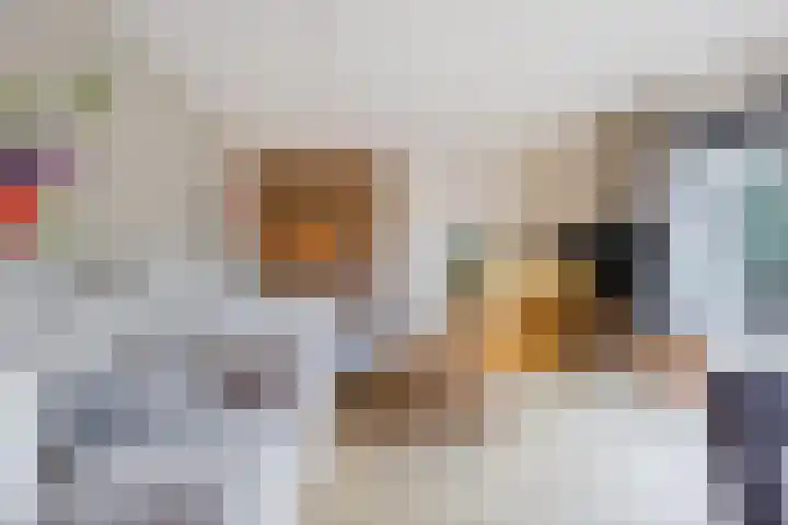 Rooijsestraat 29 Uden thumbnail 11