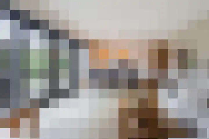 Rooijsestraat 29 Uden thumbnail 12