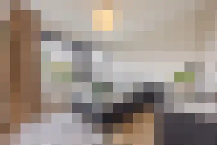 Rooijsestraat 29 Uden thumbnail 17