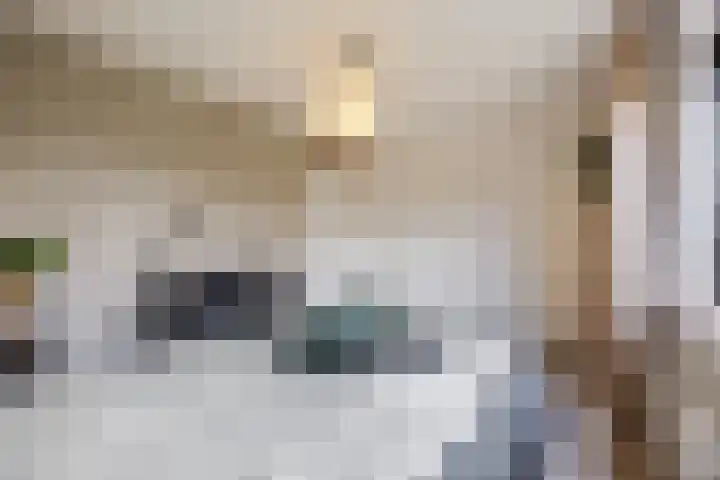 Rooijsestraat 29 Uden thumbnail 18