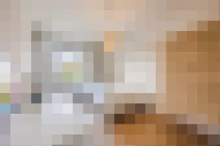 Rooijsestraat 29 Uden thumbnail 21