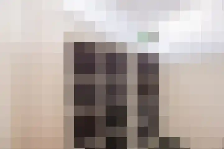 Rooijsestraat 29 Uden thumbnail 30
