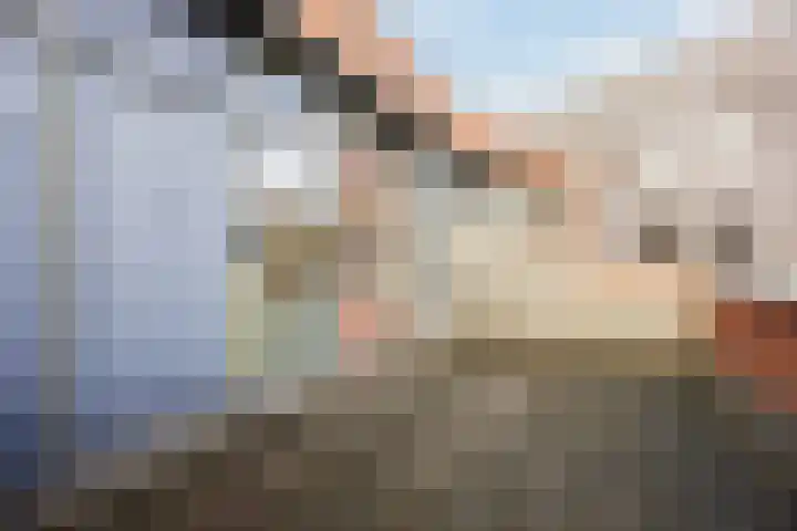 Rooijsestraat 29 Uden thumbnail 31