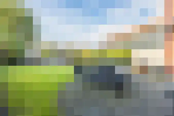 Rooijsestraat 29 Uden thumbnail 34