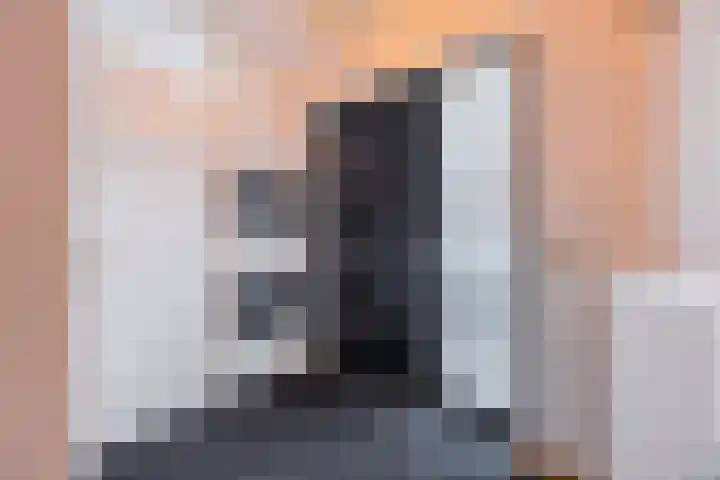 Rooijsestraat 29 Uden thumbnail 4