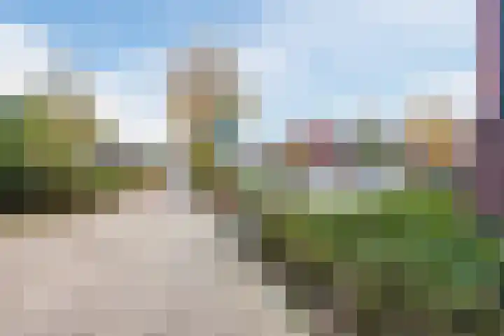 Rooijsestraat 29 Uden thumbnail 41