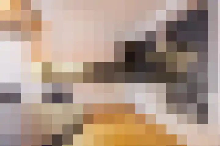 Rooijsestraat 29 Uden thumbnail 8