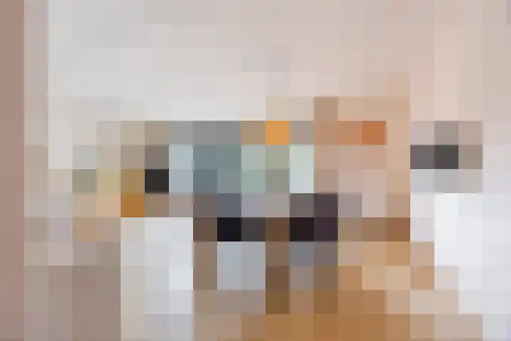 Rooijsestraat 29 Uden thumbnail 9