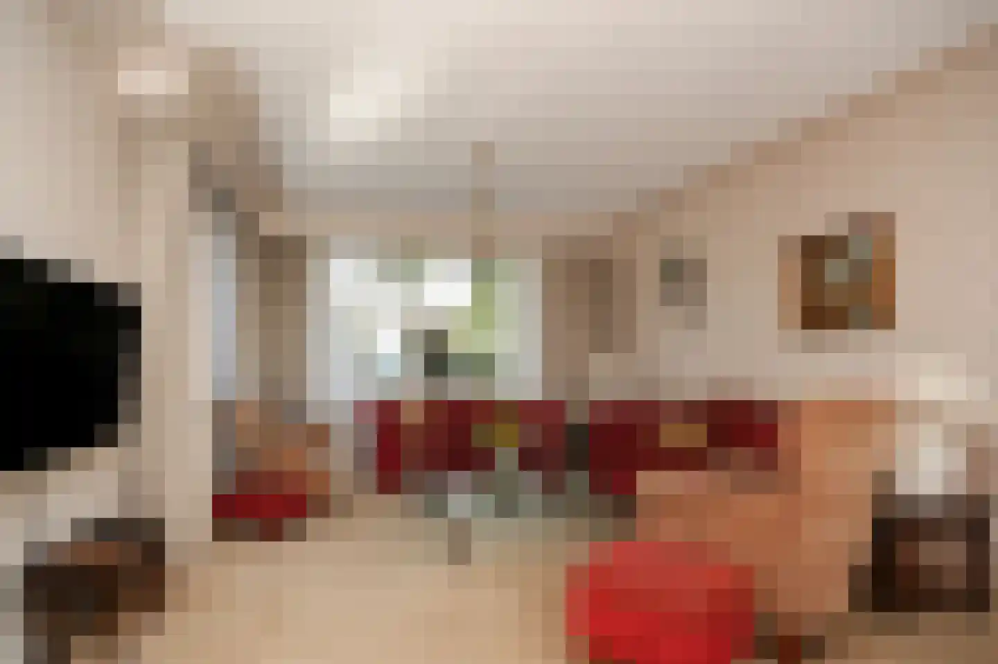 Rooijsestraat 34 a Dreumel thumbnail 10